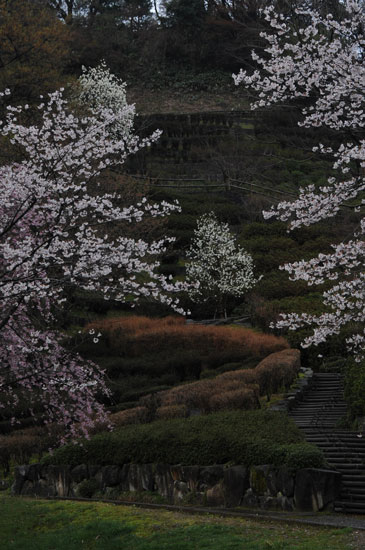 卯辰山公園(5)_c0093046_895045.jpg