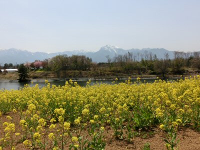 f0019247_14418.jpg