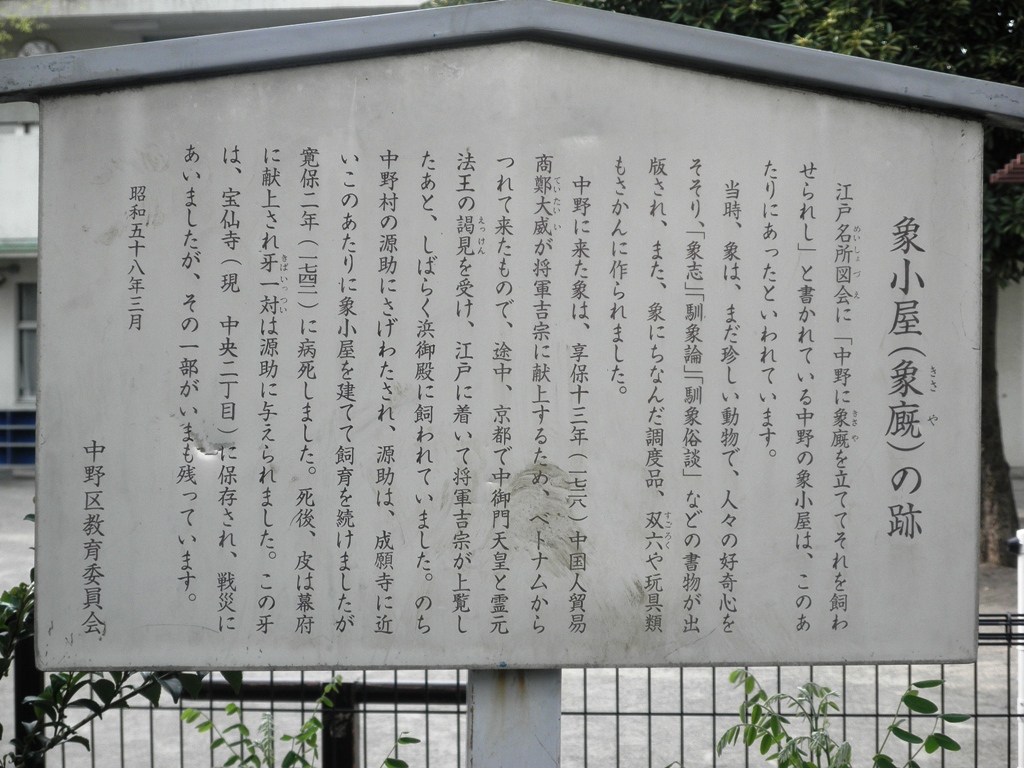 b0181748_1529157.jpg