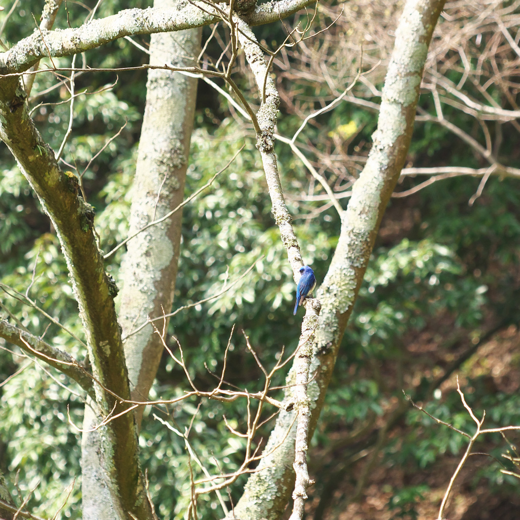 b0147449_1630516.jpg