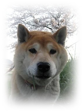 2か月ぶり_c0049950_230818.jpg
