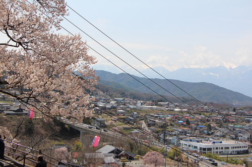 こなつちゃんとの再会_f0245650_823823.jpg