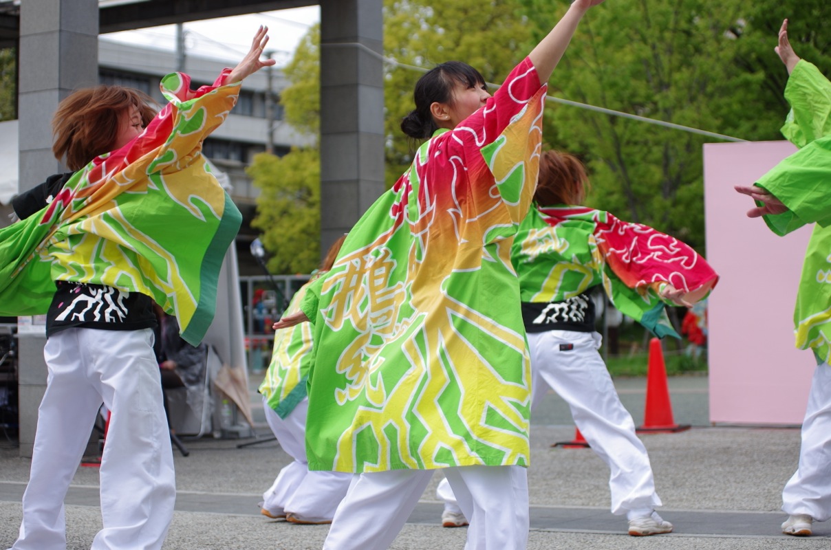  京都さくらよさこい２０１３その２４（天鵝絨）_a0009554_021896.jpg