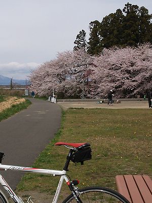 a0096557_1210561.jpg