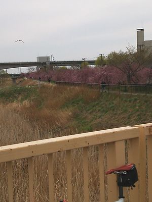a0096557_125252.jpg