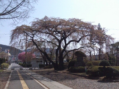 a0110259_21452521.jpg
