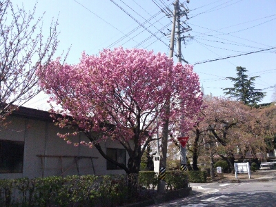 a0110259_21494766.jpg