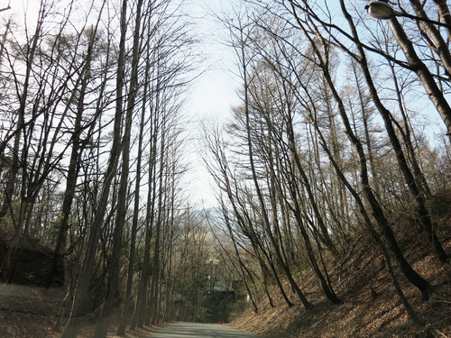 f0236260_023425.jpg