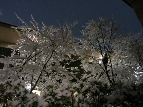 f0236260_2336759.jpg