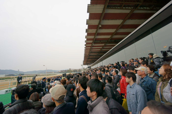 福山競馬 最後の日 その1_a0077663_10522093.jpg
