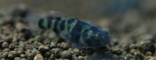 a0162263_8305144.jpg