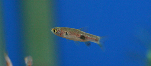 a0162263_8361582.jpg