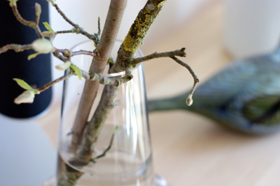 Holmegaard Flora vase -24cm clear : buckの気ままなblog。