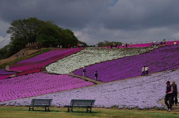 東京ドイツ村_d0031171_846922.jpg