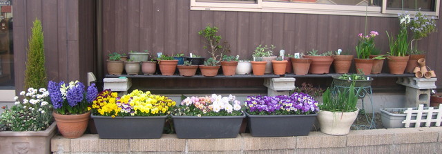 お店前の花壇と裏庭_a0160173_0163256.jpg