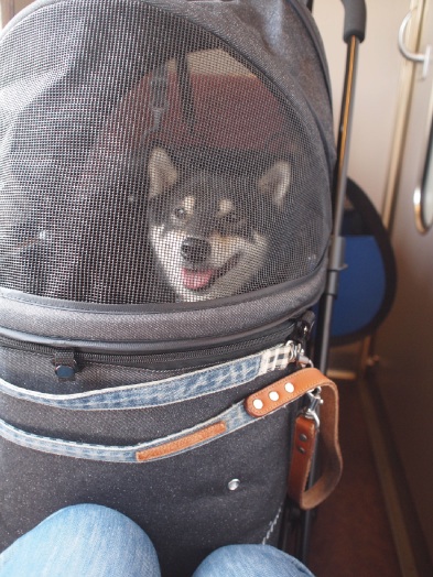 in 富山 * けんゆり列車旅！_b0239176_1856258.jpg