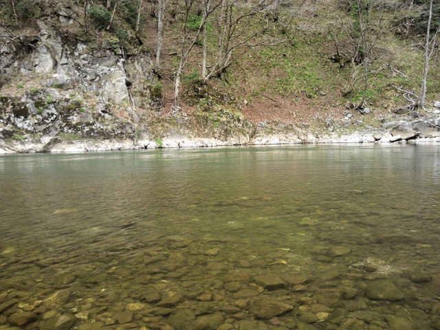 飛騨宮川下流漁協管内　宮川本流　釣行記　2013.04.17_a0093677_1774388.jpg