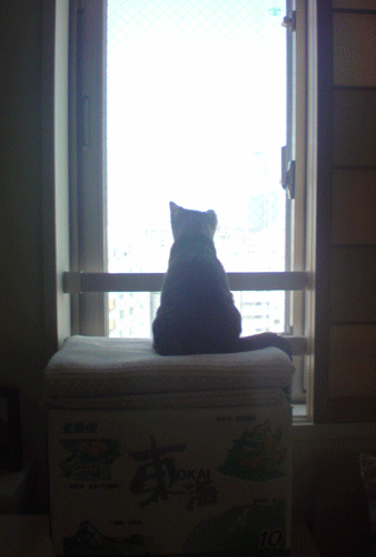 c0193788_1055023.gif