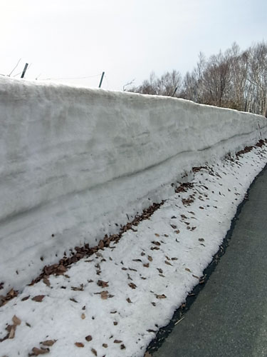 釜津田雪だより_f0236291_60358.jpg