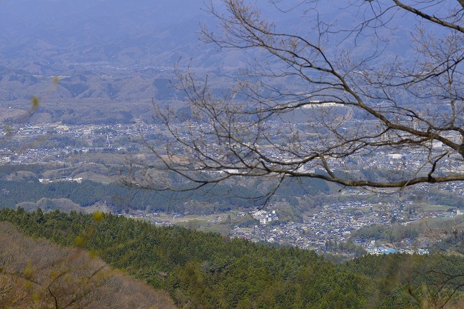 週末はスミレに会いに No2　「外秩父山系 丸山山麓の森から」_b0255992_22473714.jpg