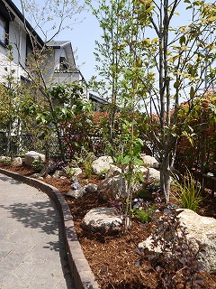 明治池の庭_a0233896_0462745.jpg