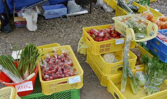 d0071596_2223379.jpg