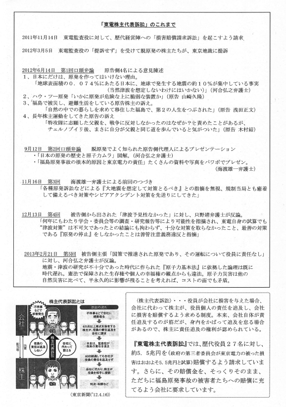 経営陣の責任問う東電株主代表訴訟_e0068696_8434410.png