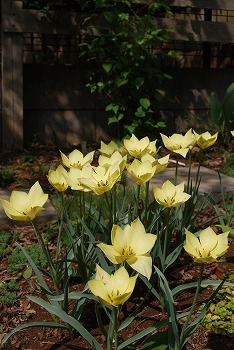 c0124100_20543920.jpg