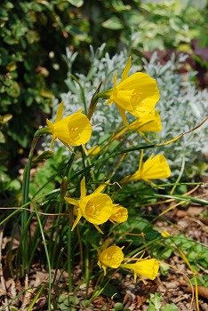 c0124100_20561765.jpg