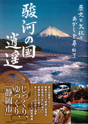 狐ケ崎ヤングランドの観覧車 Ferris Wheel Diary 観覧車の写真ブログ