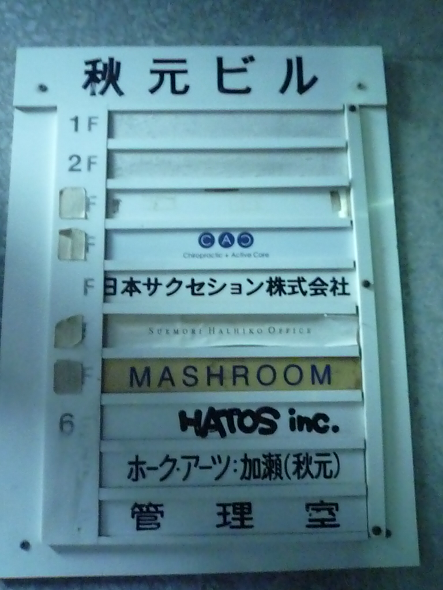 Yuya TakateのシャツとANDANTEANDANTEのブラウス_f0180307_14283153.jpg