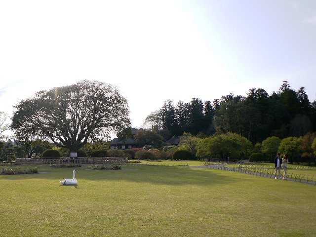 a0043814_10312810.jpg