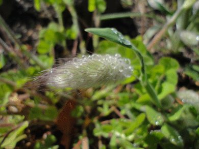 d0263216_18512551.gif