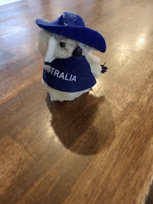 e0219819_23255896.gif