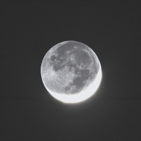 b0253922_14555232.gif