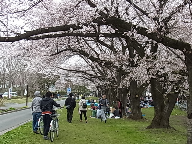 a0128523_1625788.jpg