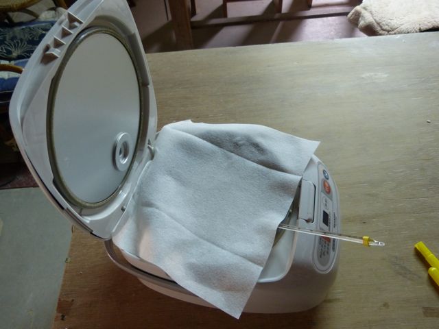 a0188023_79050.jpg