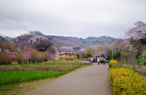f0235026_8493048.jpg