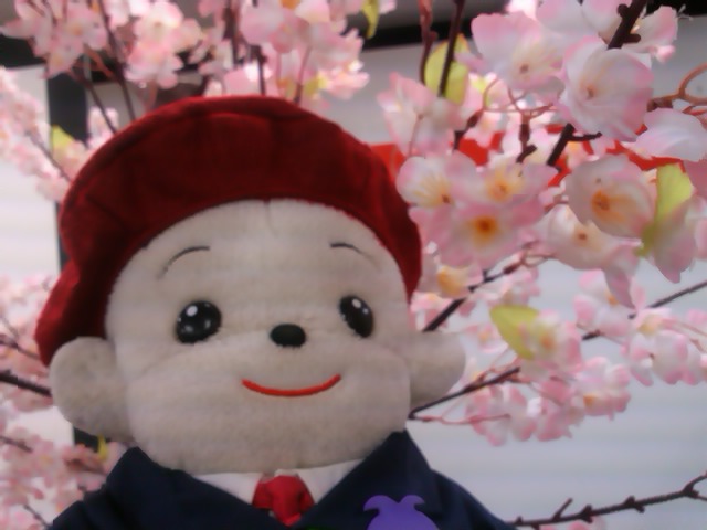 入園式　in　大阪　2013_c0104930_16521629.jpg