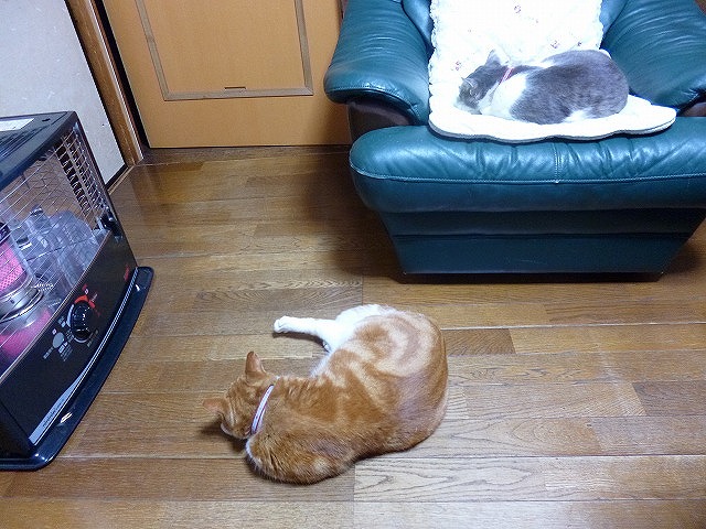 a0006033_14411468.jpg
