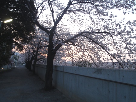 b0080342_0132226.jpg