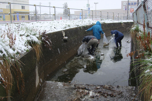 ゆ、雪、ですか?_e0226943_23494083.jpg