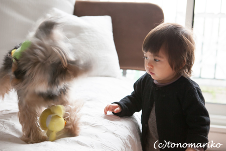ボクとプチプチ天使ちゃんの小さな戦い_c0024345_4583316.jpg