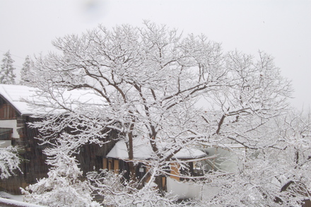 雪でも営業してます_d0249047_7584897.jpg