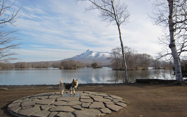 スナピーのひとりごと　” 今年の大沼公園はどんな様子かな?  ”_c0147548_17193896.jpg