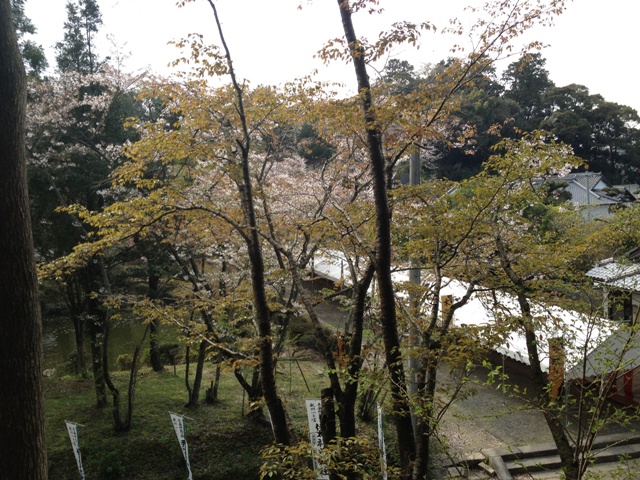 Idakiso Shrine_e0046748_1635154.jpg