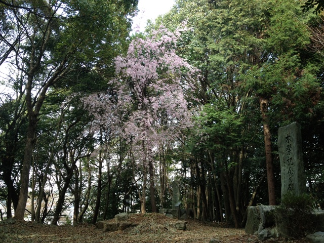 Idakiso Shrine_e0046748_16364940.jpg