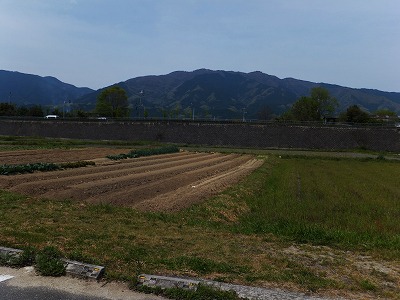 d0048350_2113160.jpg