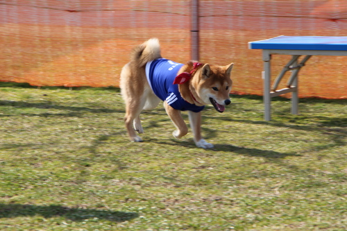 f0245650_841390.jpg