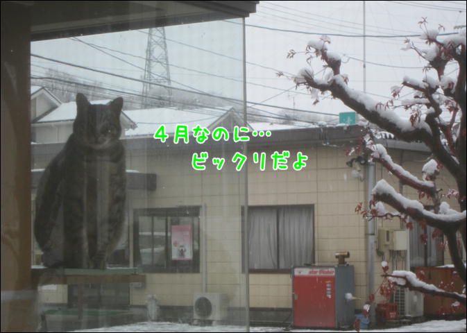 d0139352_15493088.jpg